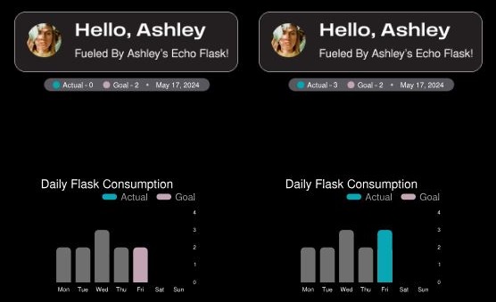 Echo Flask App