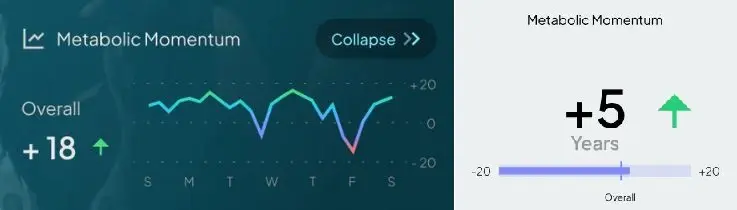 App-Screenshot der Hume Band Anwendung mit Anzeige des Metabolic-Momentum-Werts